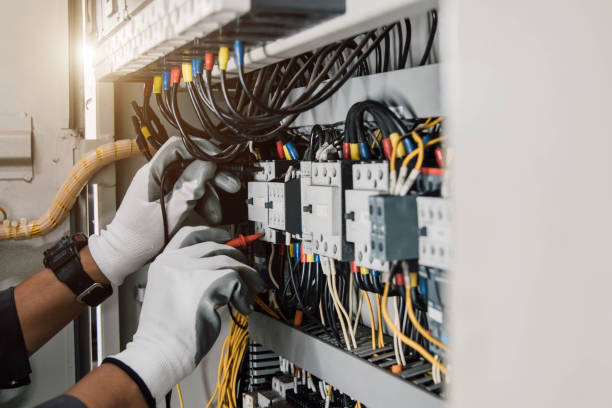 Best Electrician for Home Renovation  in Daisetta, TX
